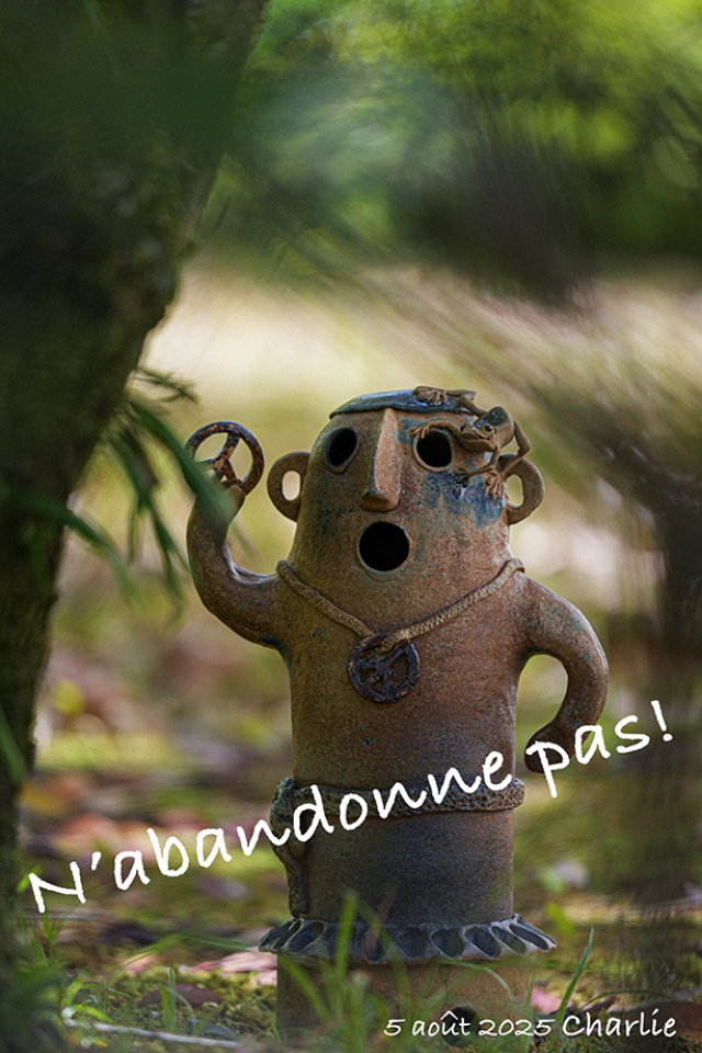 N'abandonne pas!